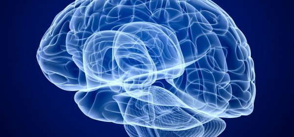 Sleep and Baby's Brain